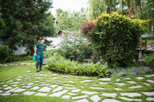Best Residential Pest Control  in Clifton, AZ